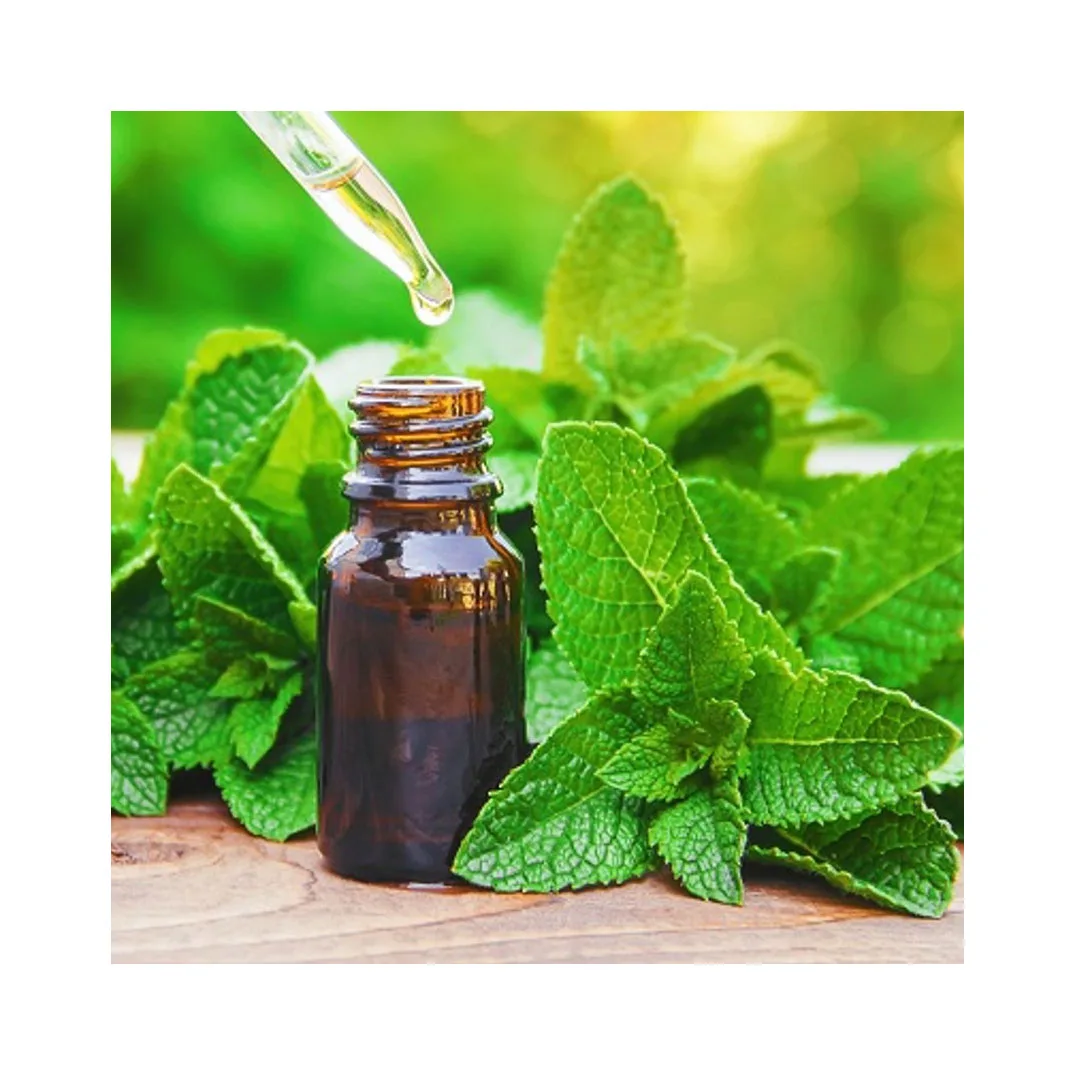 Pure and Natural Cold Pressed Organic Peppermint Seed Oil Wholesale Bulk Price Base Oil