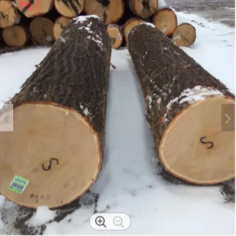 Europe White Oak Bilinga Wood round Logs Acacia Timber for Sale European Design Style