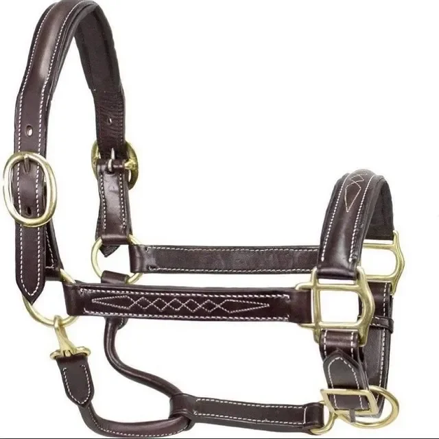 Customized Adjustable Premium Quality DD Leather horse halter with thick soft padding Anatomic Design or as per requirements