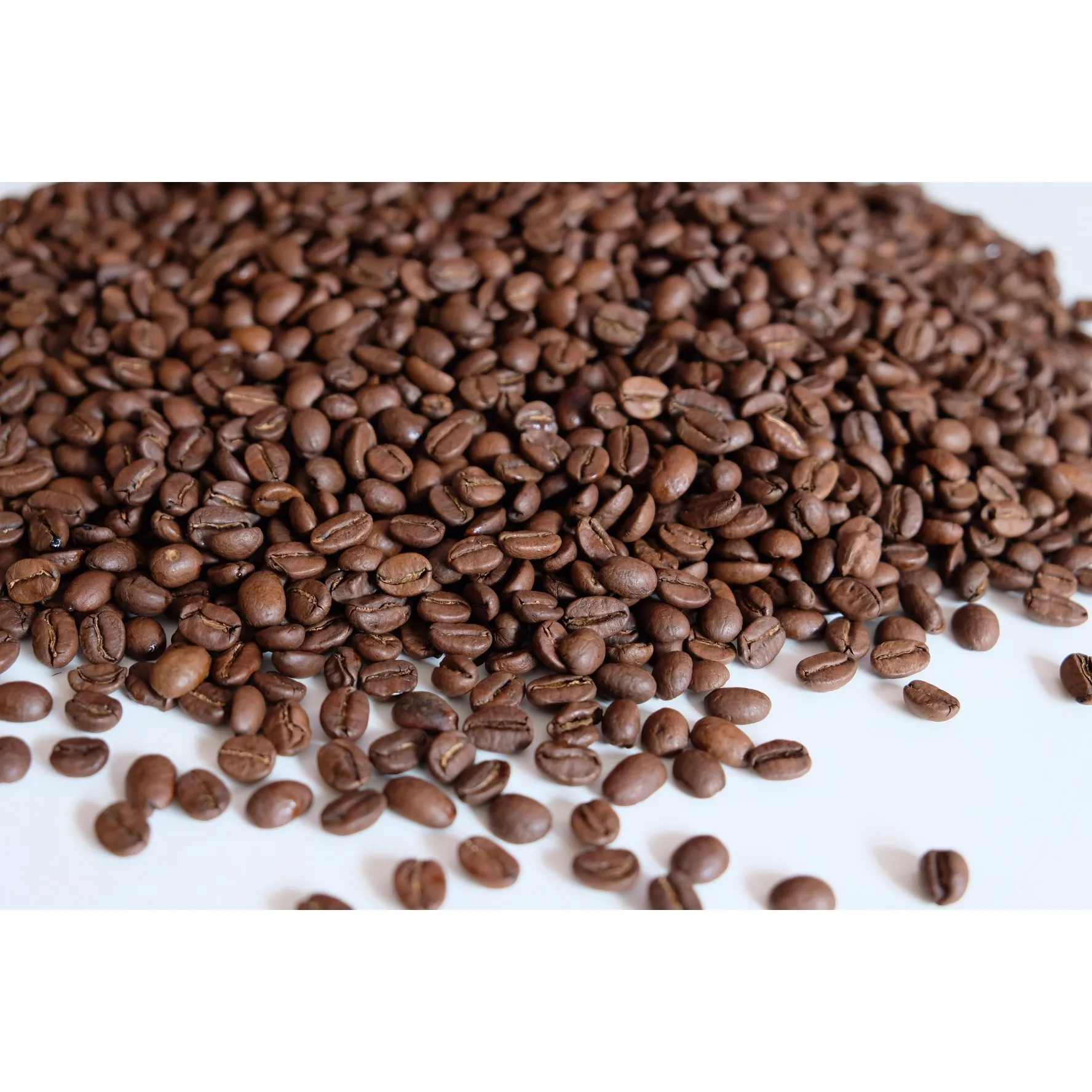 Good Price Arabica Cau Dat S16 Roasted Carpentry Coffee Beans Best Sell Coffee Roasted Beans