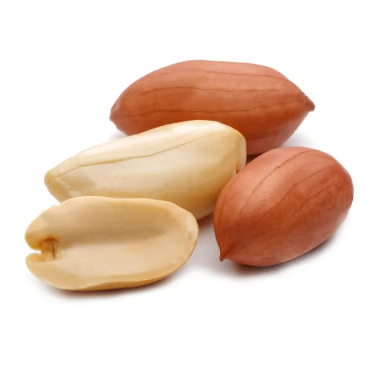 Top-Quality Peanut Nuts for Food Industry Purchase Bulk Peanut Nuts Fresh and Premium Quality for All Your Needs