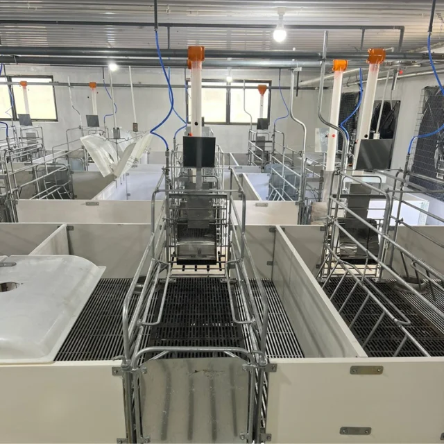 Best Price Good farrowing pens for pigs at reasonable prices pig farrowing barn  Reduce the rate of Abortion Stainless Steel