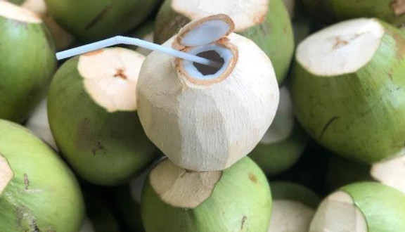 High Quality Fresh Young Coconut Water From Vietnam | V.A.F Vietnam Agriculture Food
