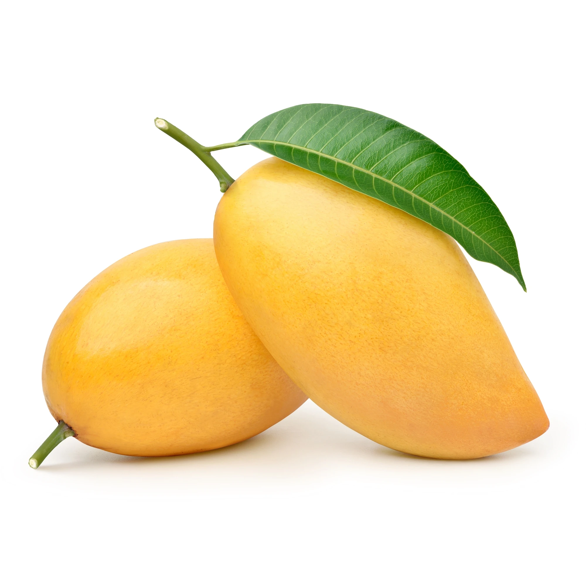Quality organic delicious maturity size 8-10cm color yellow fruit products Fresh Mango ADA from Vietnam