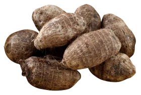 Amazing new crop of Chinese taro root factory supply fresh vegetables fresh and air Dried Taro frozen tar