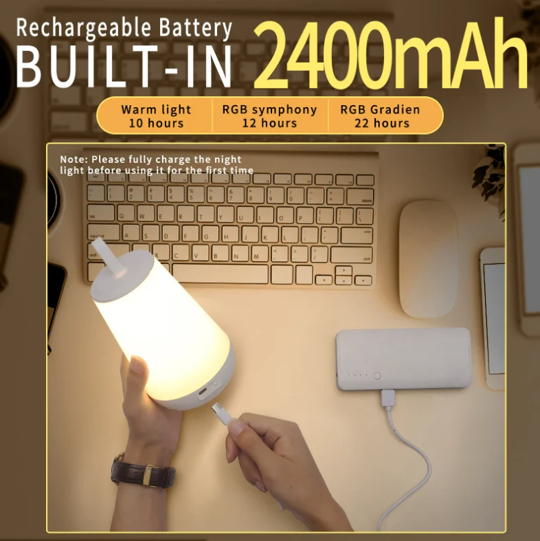 Touch&Rmt Ctrl Portable USB Rechargeable Dimming LED Dreaming Color Streaming Table Lamp For Desk Bedside Holiday Christmas Gift