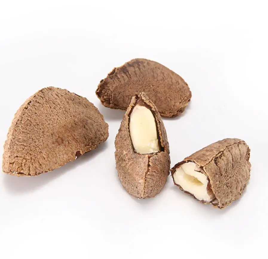 brazil nuts100% natural top quality good typical shellless for human consumption dried raw brazil nuts