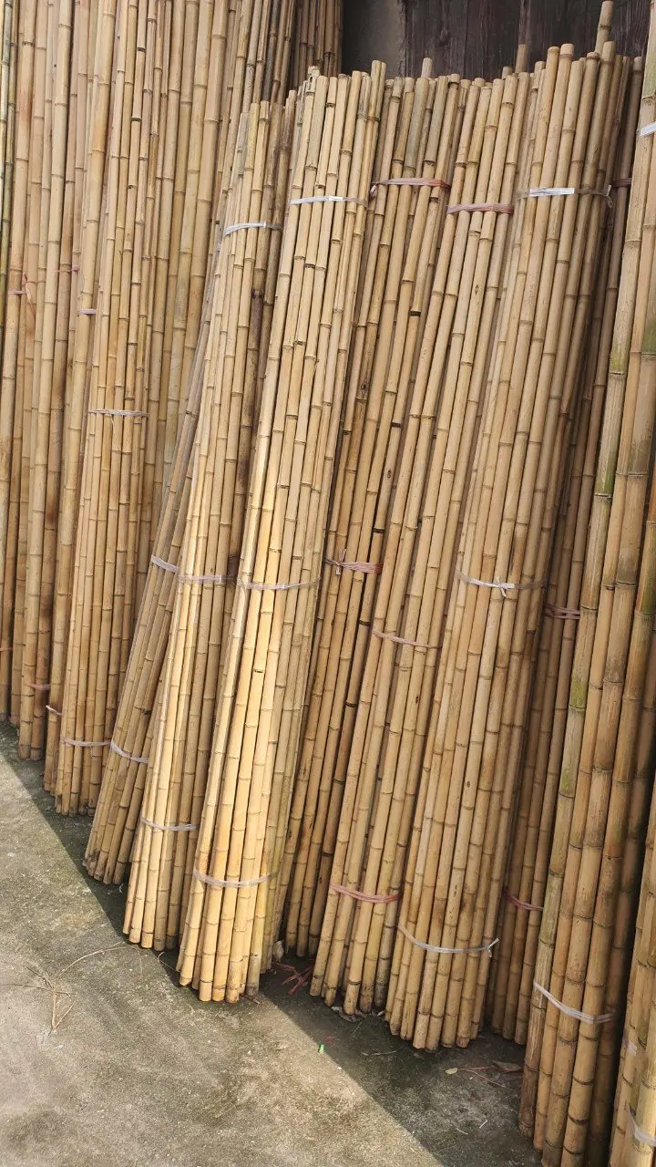 High Quality 100% Natural Rolled Bamboo Screen Fencing Garden Buildings From Vietnam Ready To Export In Bulk