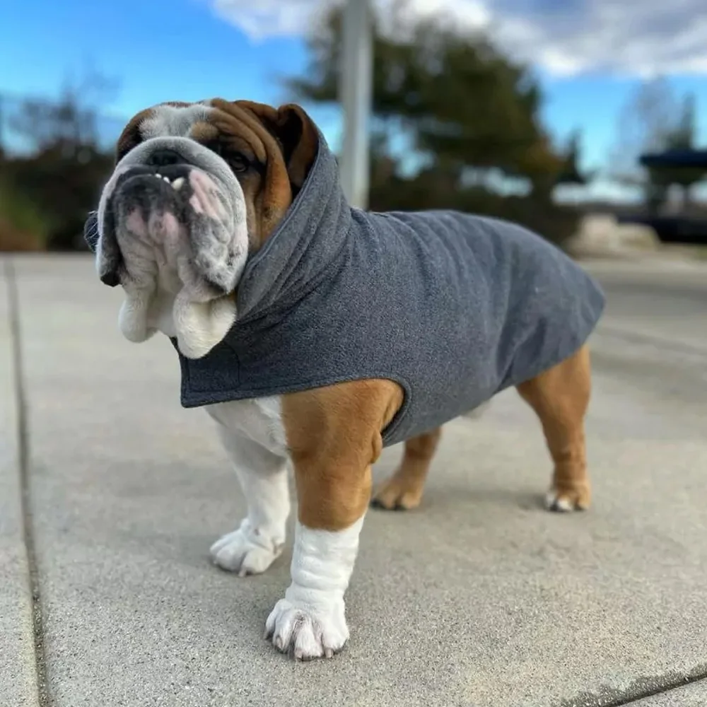 Soft Fleece English Bulldog Jacket Outdoor Dog Coat Soft Touch Material Bulldog Wear Clothes BY Fugenic Industries