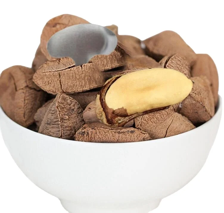 Brazil Nuts Natural Raw Nuts Shelled Mix with Medium Large and Extra Large Sizes organic Roasted Nuts Cheap Price