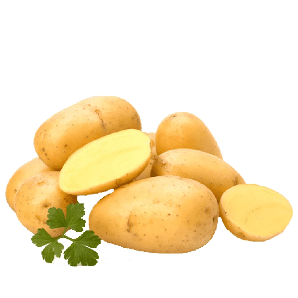 High Quality 100% Natural Product Cheap Price Professional Export Wholesale Fresh Potato from Bangladesh