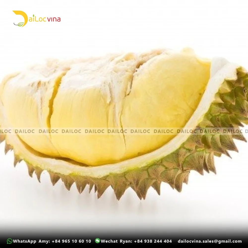 FAMOUS TROPICAL ASIA FRUIT PREMIUM HIGH WHOLE MUSANG KING DURIAN SWEET AND THICK FLAVOR
