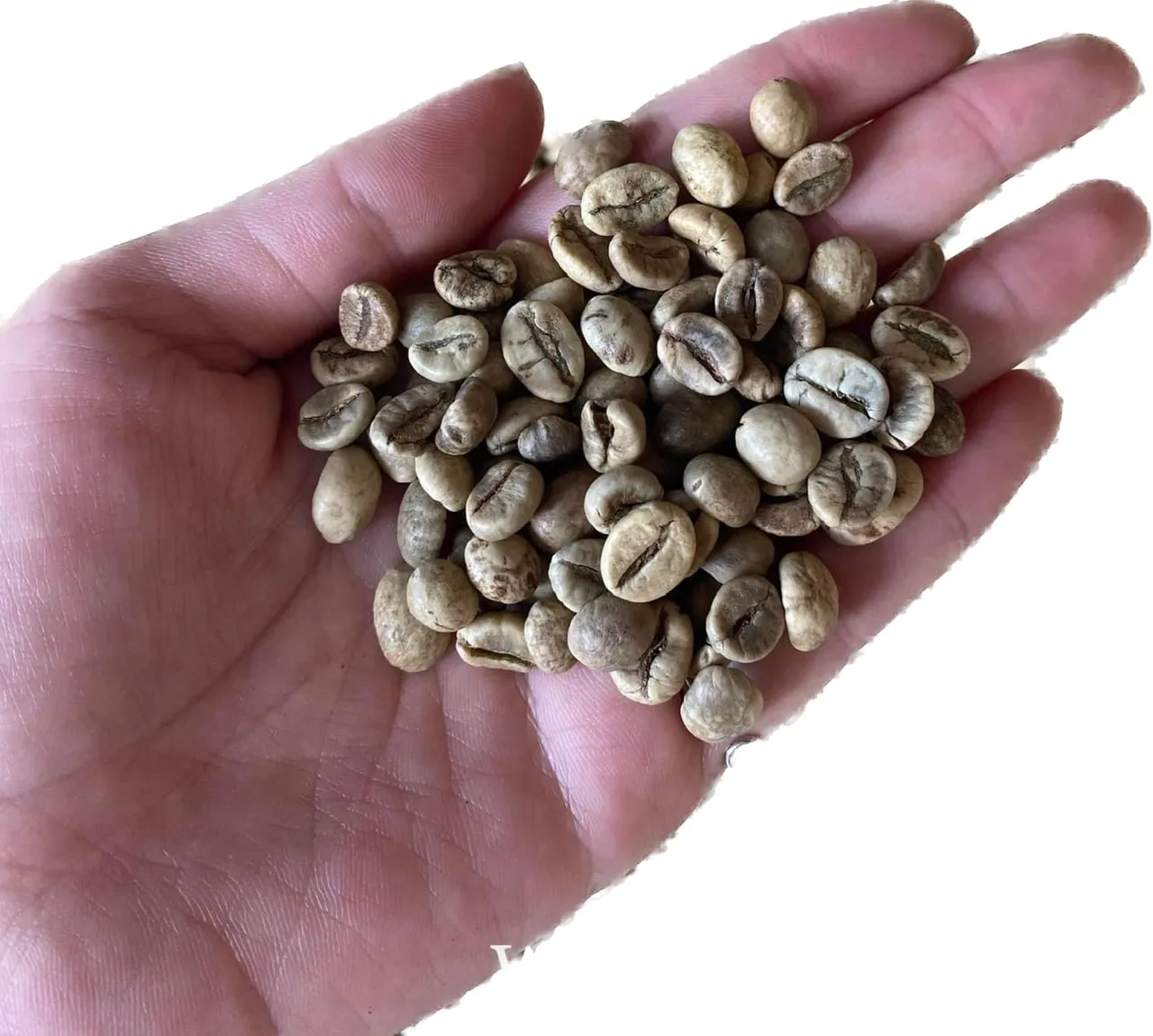 Вьетнамский КОФЕ ROBUSTA/WA 0084 848