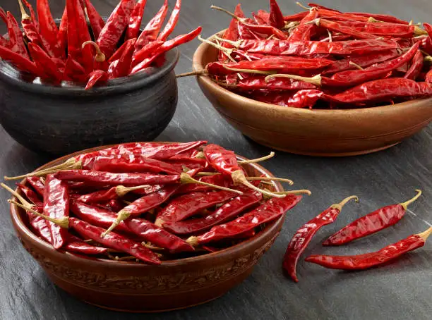 Hot Spicy Wholesale Price Dry Hot Red Chili Teja S17 Original Guntur guntoor Red Dry Chilli