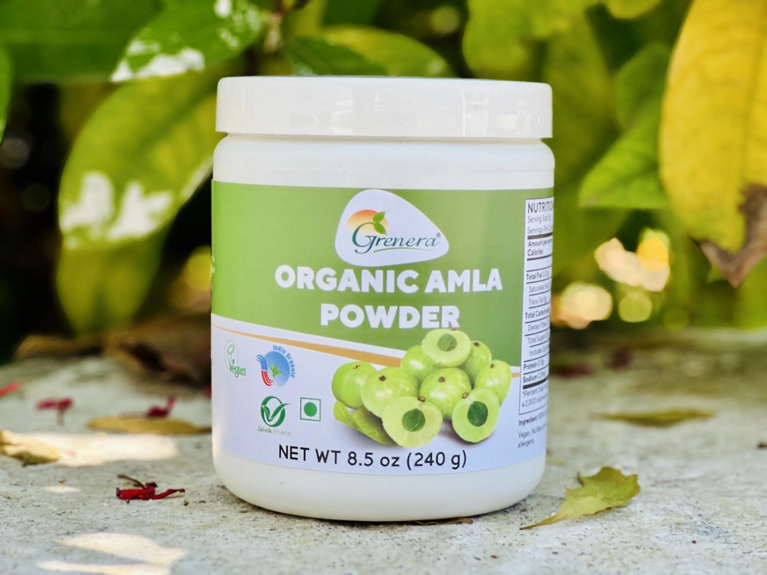 EU and USDA organic certified high quality Dried Amla powder(Indian Gooseberry) rich source of vitamin c in bulk and retail pack