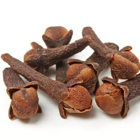 Wholesale Supplier Dried Cloves/ Dried Cloves Exporter