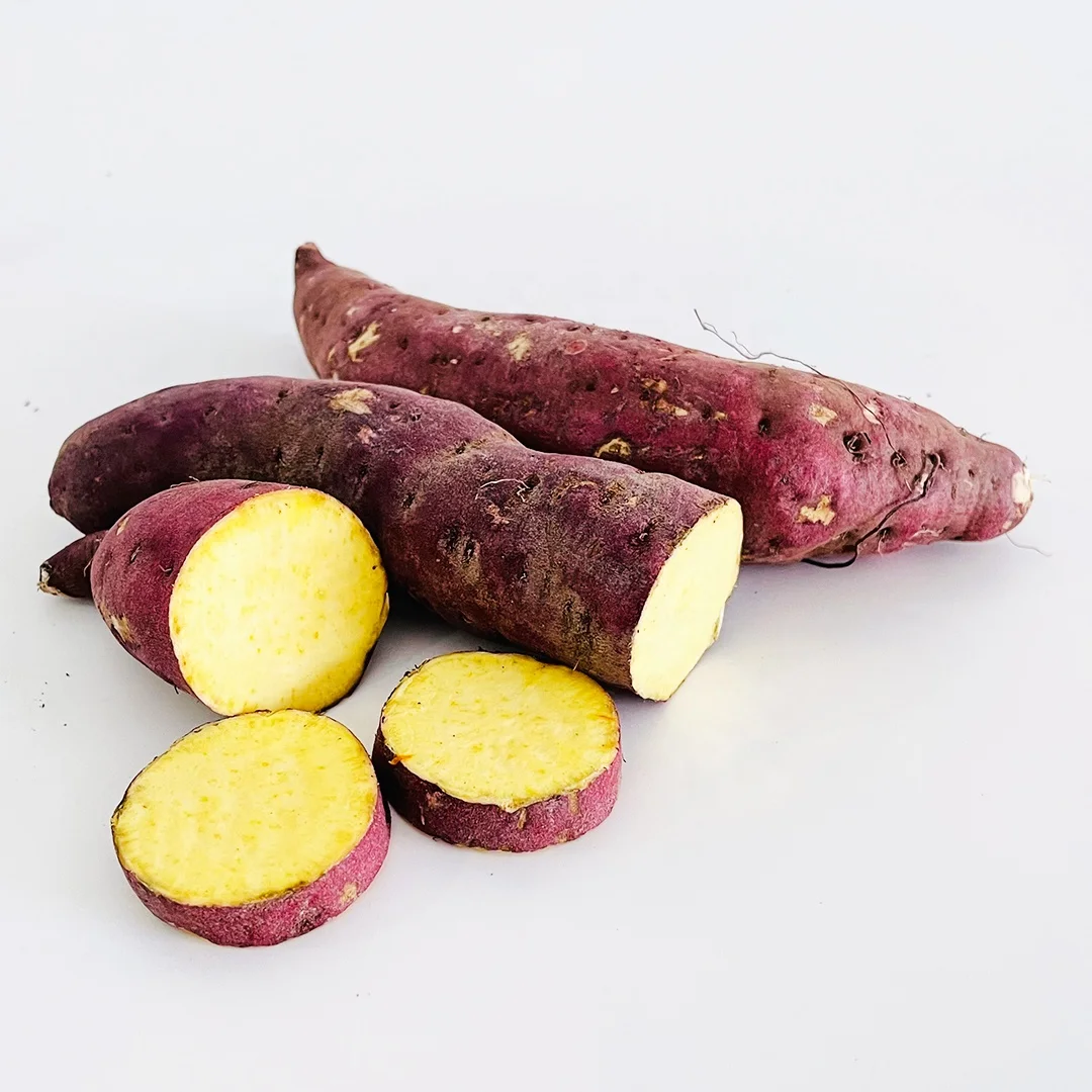 USD 0,95/MT FOB HCMC для свежего фиолетового сладкого картофеля с вьетнамской фермы, специализированный экспорт