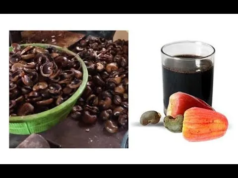 CNSL Oil Perfect Petroleum products in Viet Nam factory Cashew Nut Shell Oil cashew nut processing machine