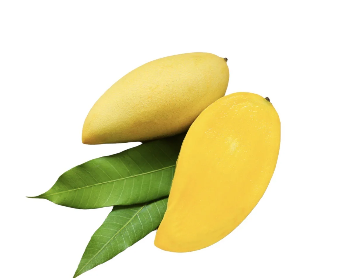 High Recommend Premium Quality IQF Fresh Mango Sliced Frozen Fruit And Best Selling Product From Thailand