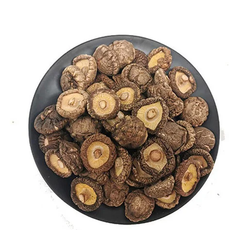 Factory Direct Sale Healthy Fresh Dried Oyster Mushroom Native Product Nutrition Oyster Mushroom