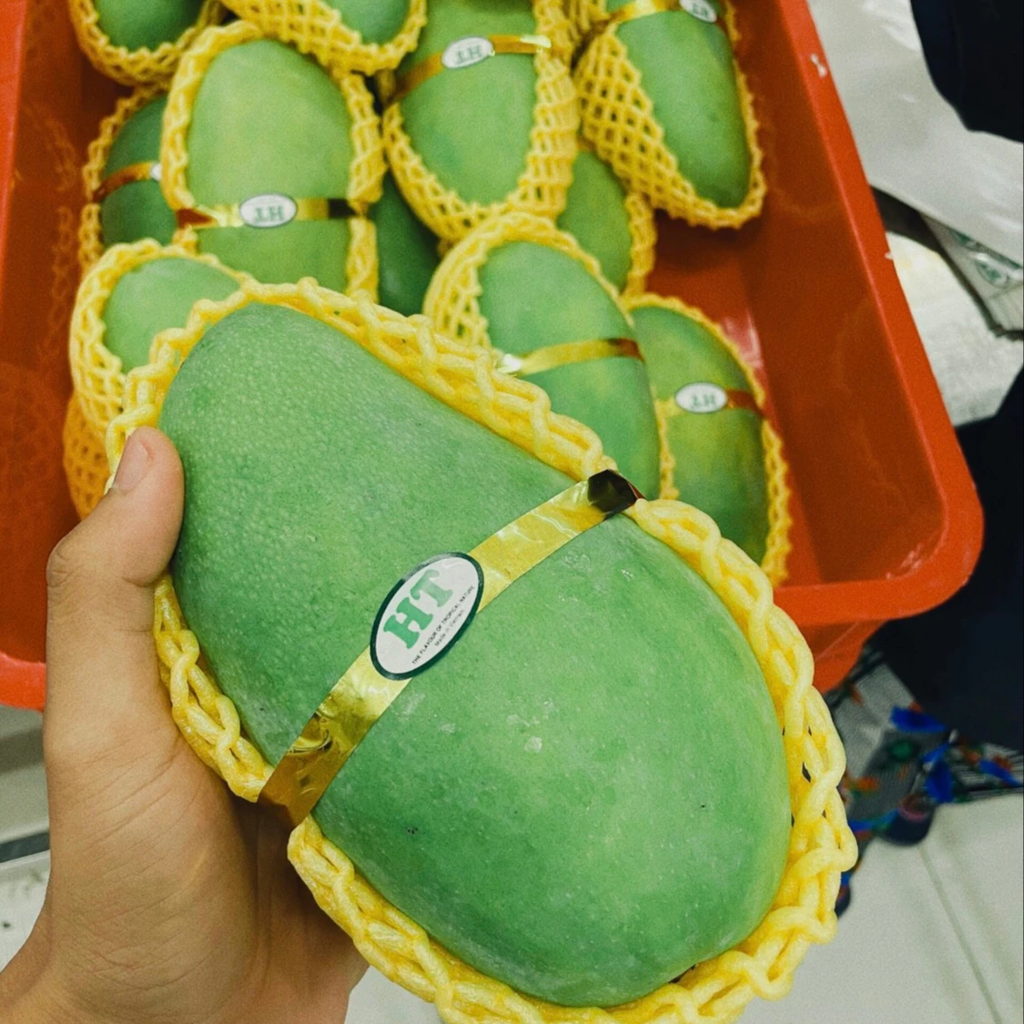 CHEAP PRICE HIGH QUALITY VIETNAM Green Mango/ GREEN Mango Wholesale- W/A: +84981682199