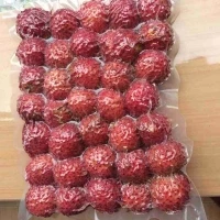 Поставка замороженных фруктов Rambutan нефелиум лаппацеум быстрая доставка Мисс Софи