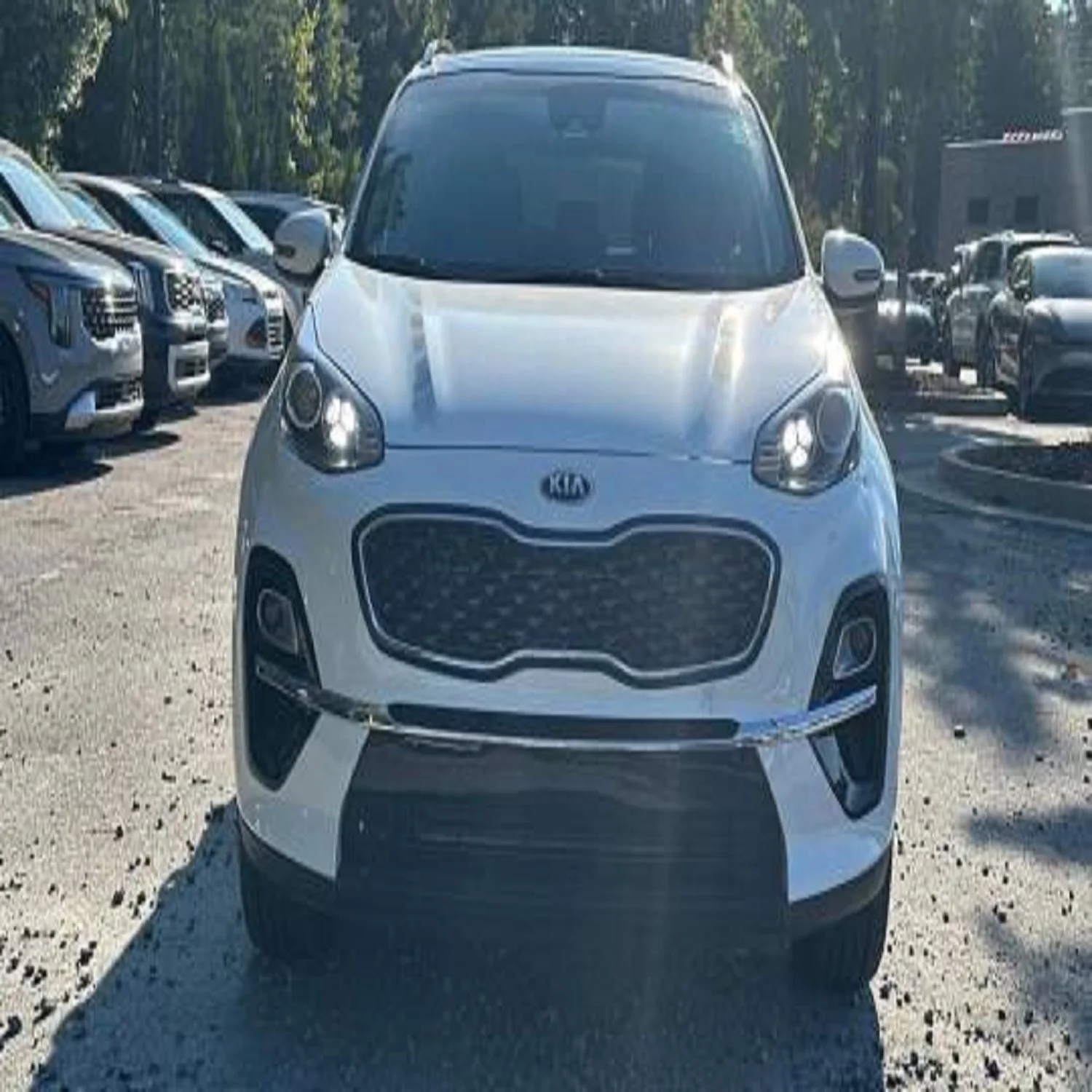 Использованный 2022 Kia Sportage EX