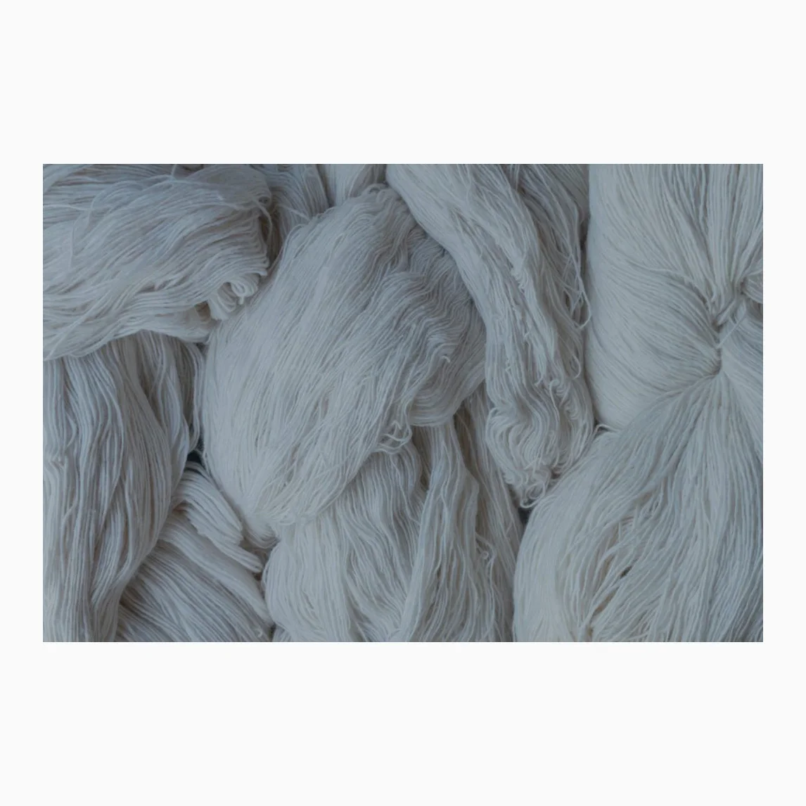 Organic Raw Cotton Fiber - Natural Color