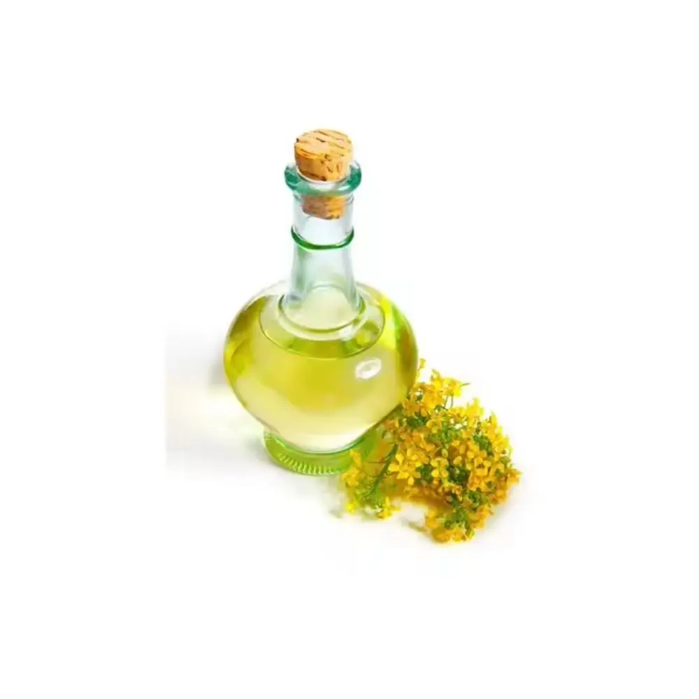 High Quality canola seed high oleic canola oil organic canola good for cholesterol  Rapeseed Oil Bulk For Cooking