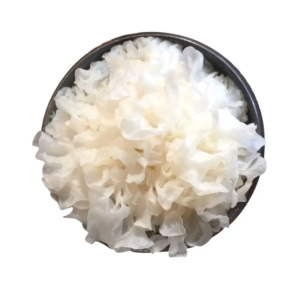 Fresh premium white wood ear frozen tremella