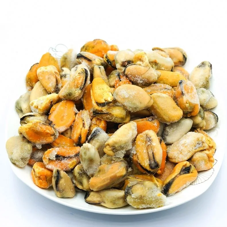 top Quality seafood shellfish frozen half shell mussel For sale
