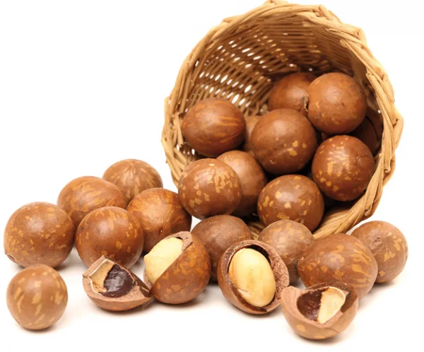 Высококачественные вкусные 100% органические орехи макадамии из Вьетнама