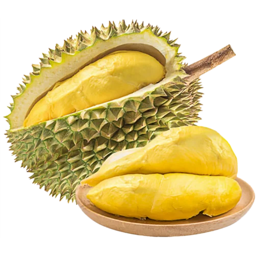 Best Fresh Durian VIETNAM FRESH DURIAN BEST PRICE 100% HIGH QUALITY Yellow Tropical Sweet Durian