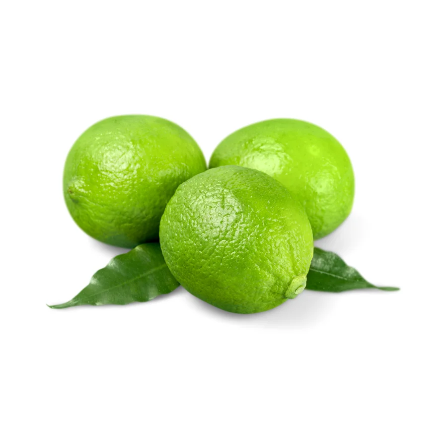 High Quality Organic Fresh Limes Healthy Organic Fresh Limes For Sale