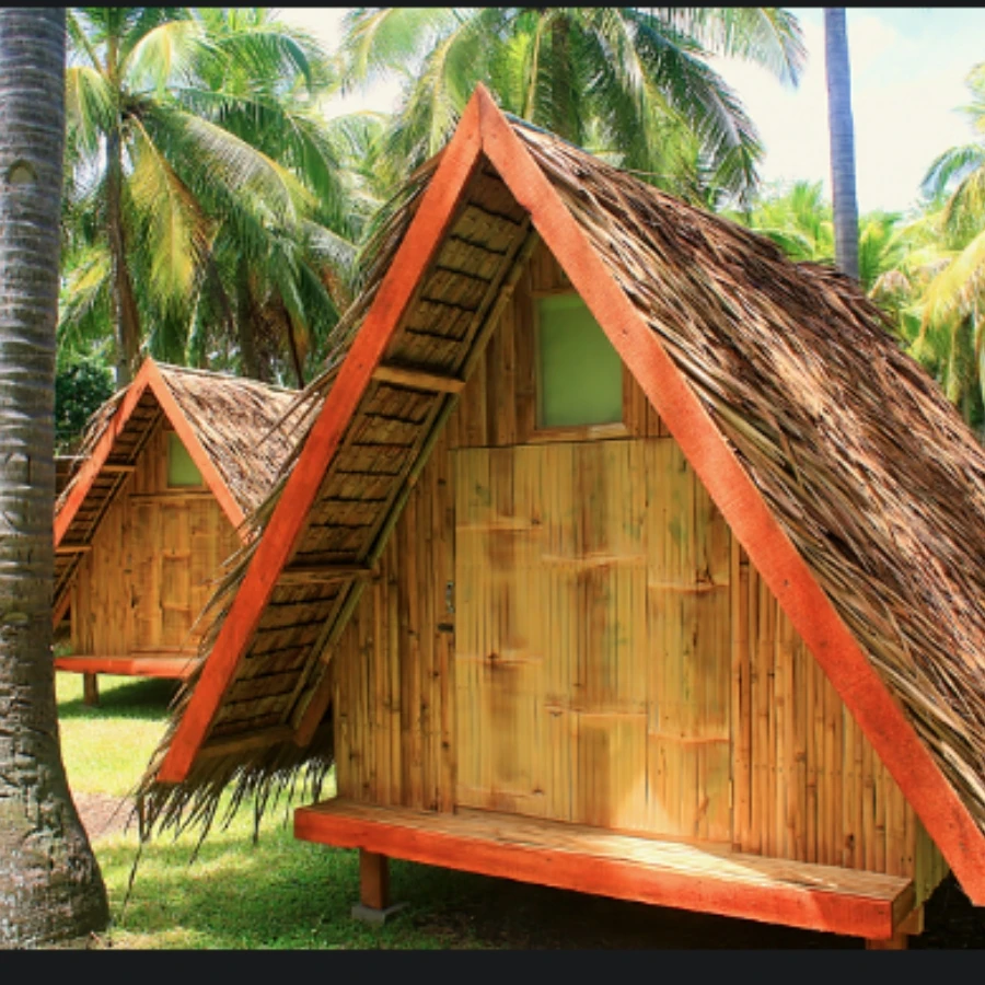 Wholesale Bamboo Plants From Vietnam, Natural Products