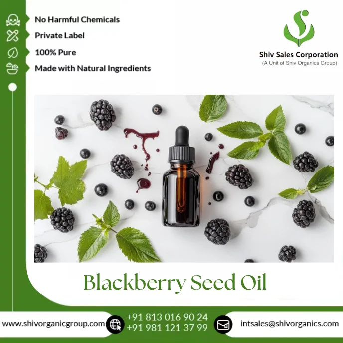 Premium 100% Pure Blackberry Seed Oil Cold Pressed Natural Oil for Cosmetics Skincare and Nutraceutical Applications