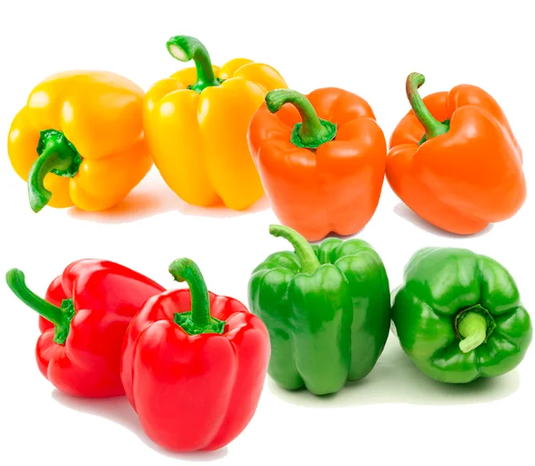 Оптовая продажа, Свежий Колокольчик перца премиум-класса из Мексики-высокое качество, Лучшая цена, напрямую от производителей