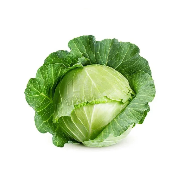 Round Shape Organic Cabbage Style Piece Weight Origin Type Variety Product Fresh Place Model Cultivation From Bangladesh