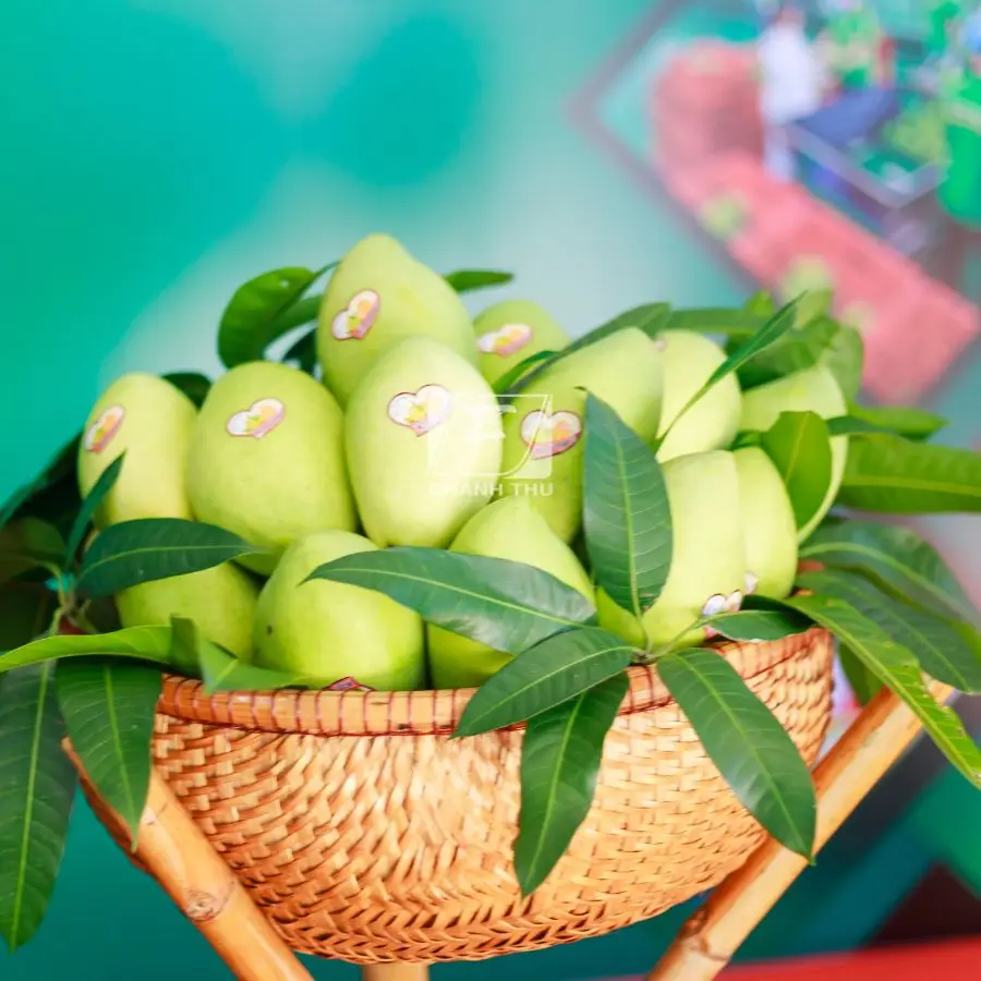 Mango Green Color Mango Common Cultivation Type Sweet Taste Mango Export From Vietnam