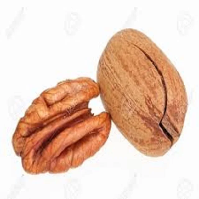 Pecan Nuts Top Quality Grade Raw Organic Fresh Crop nuts of pecan nuts