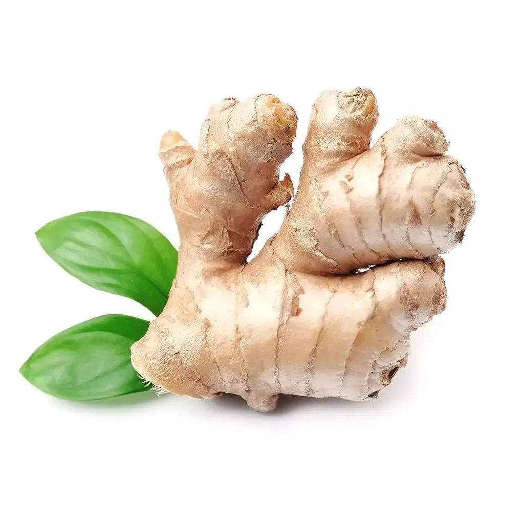 High Quality Fresh Ginger Market Price Per Ton Wholesale Ginger Buyers for Export in China Ginger Yellow Top Chinese