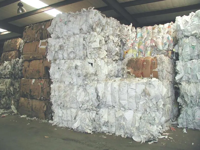 paper-scrap-1426896.jpeg