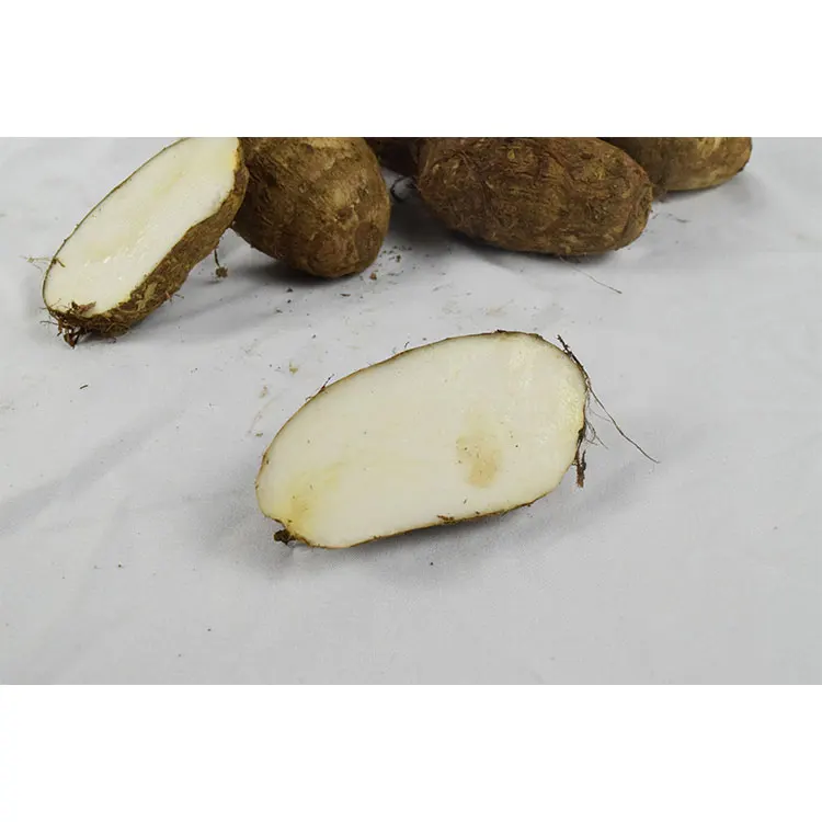 Оптовая продажа свежий Taro низкая цена высокое