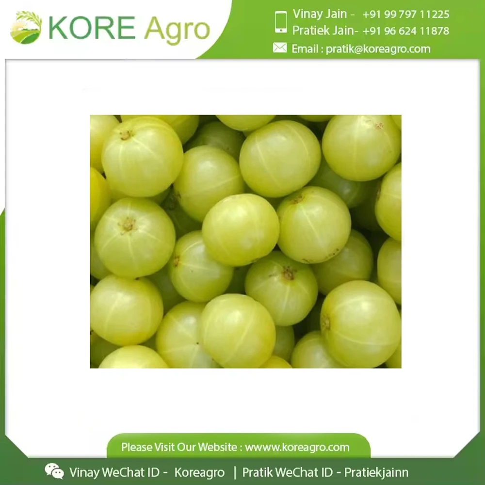 Высокое качество весь производитель Amla богатый витамином C OEM Private Label Powder Form Product Hair оптом
