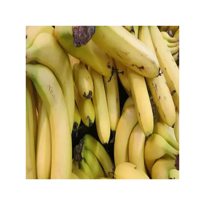 Fresh banana Quality wholesale customized banana Manufacturers to Worldwide vast Selling