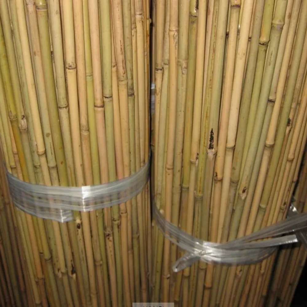 Natural Bamboo Stick For Plant/ Bamboo Stick For Supporting Flower With High Quality Bamboo in Vietnam Made by Eco2go