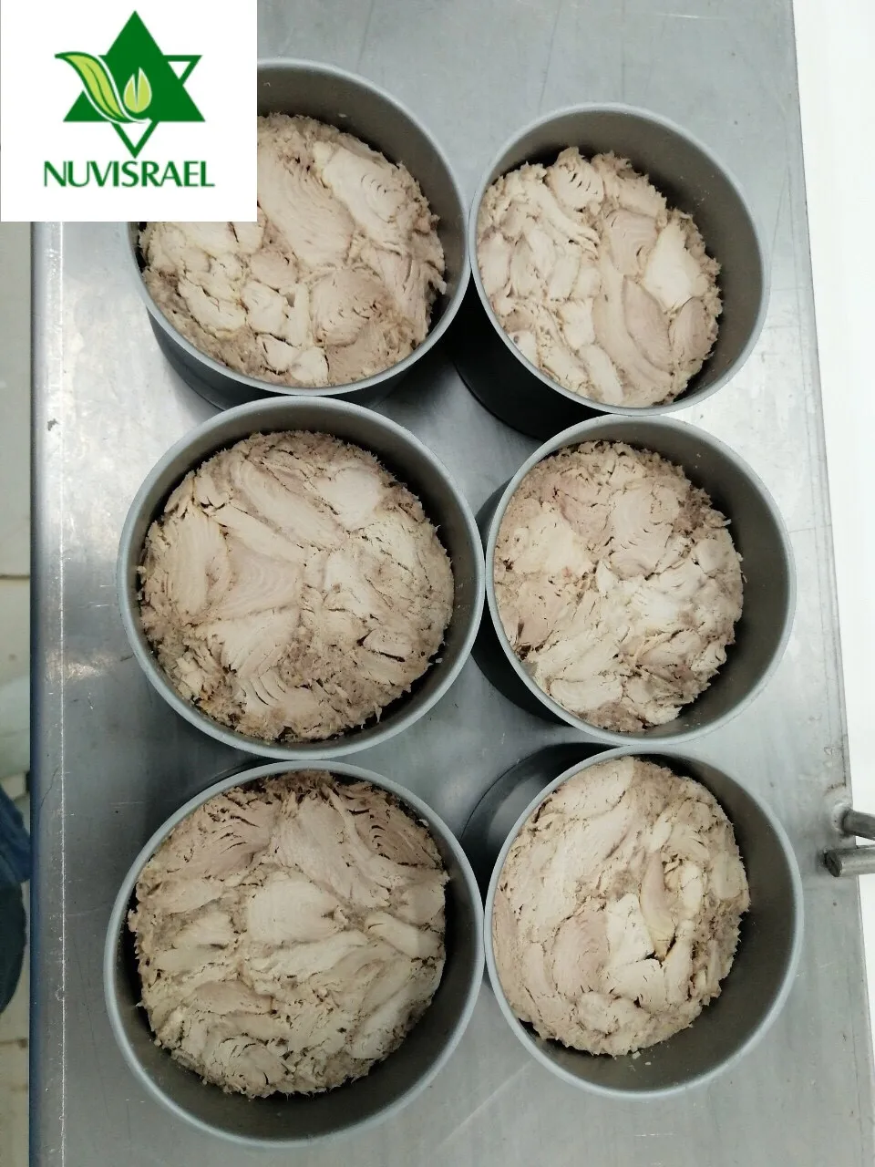 Best price high quality canned tuna in brine with variable weight for wholesale OEM hot sale