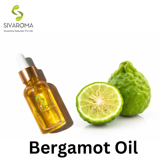 Trusted Manufacturer of India Marketed Best Quality Essential Oil BERGAMOT OIL for Aromatic Aromatherapy of Human Body