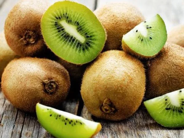 Fresh Kiwi Fruits Organic Green Kiwi Sweet Style Packing Color Package Feature Weight Origin Type Shape Variety Grade Product