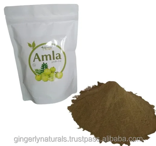 Amla Fruits Superfine Powder Manufacturer in India by Gingerly Naturals